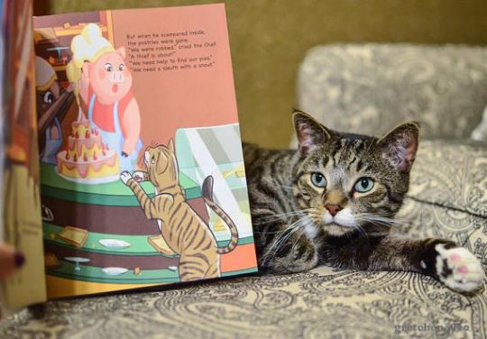 Personalized Pet Book