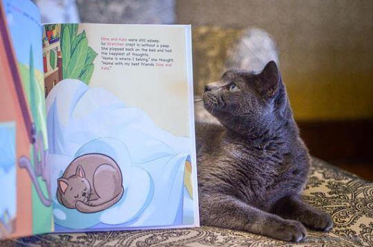 Personalized Baby Books To Welcome New Family Members